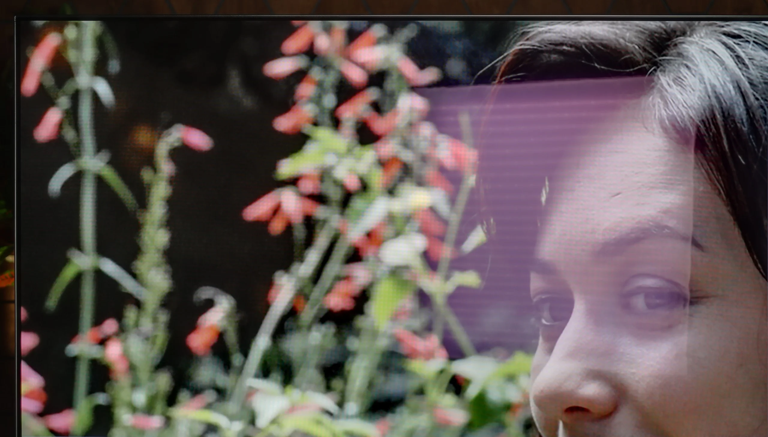Review Philips OLED811 Daytime performance