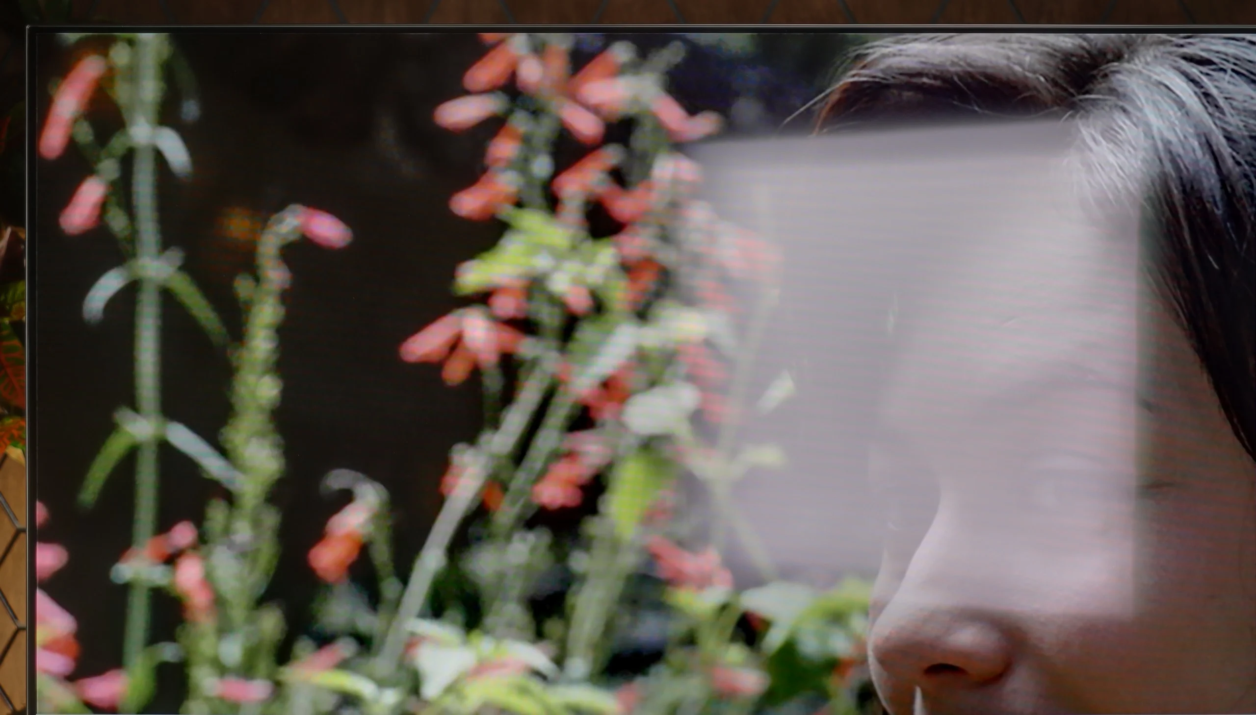 Review Sony BRAVIA 6 (A65) Daytime performance