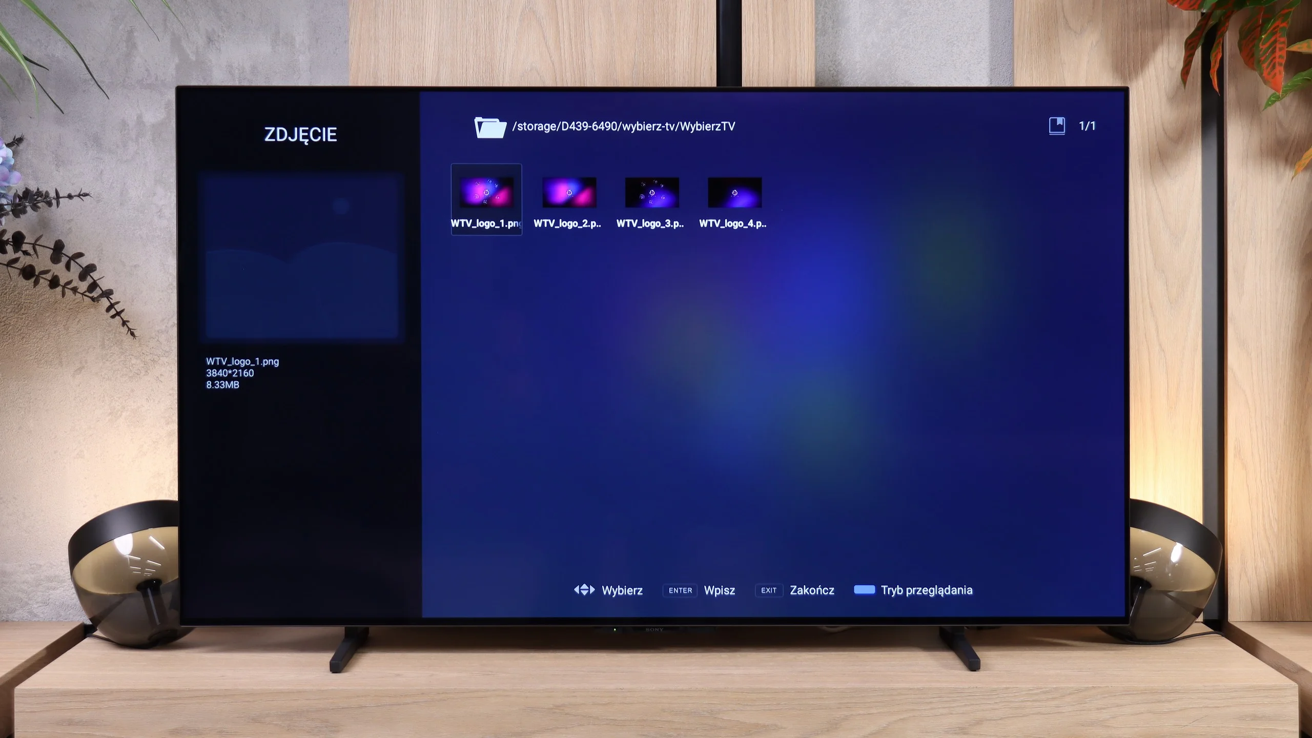 Review Sony BRAVIA 6 (A65) Appearance of the TV