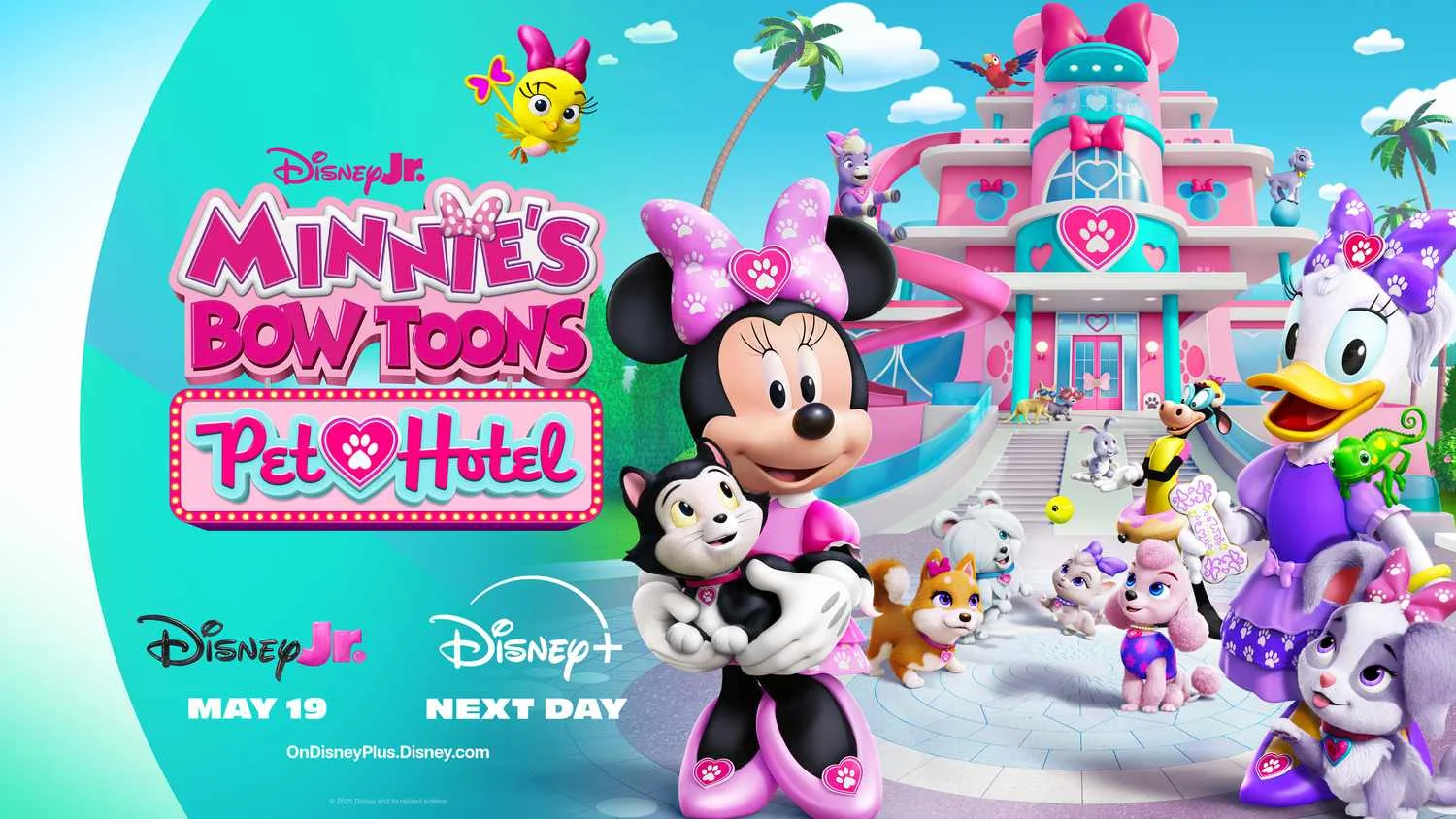 Price of Disney+ in 2025 – check the current packages, available features, and what’s included in the subscription.