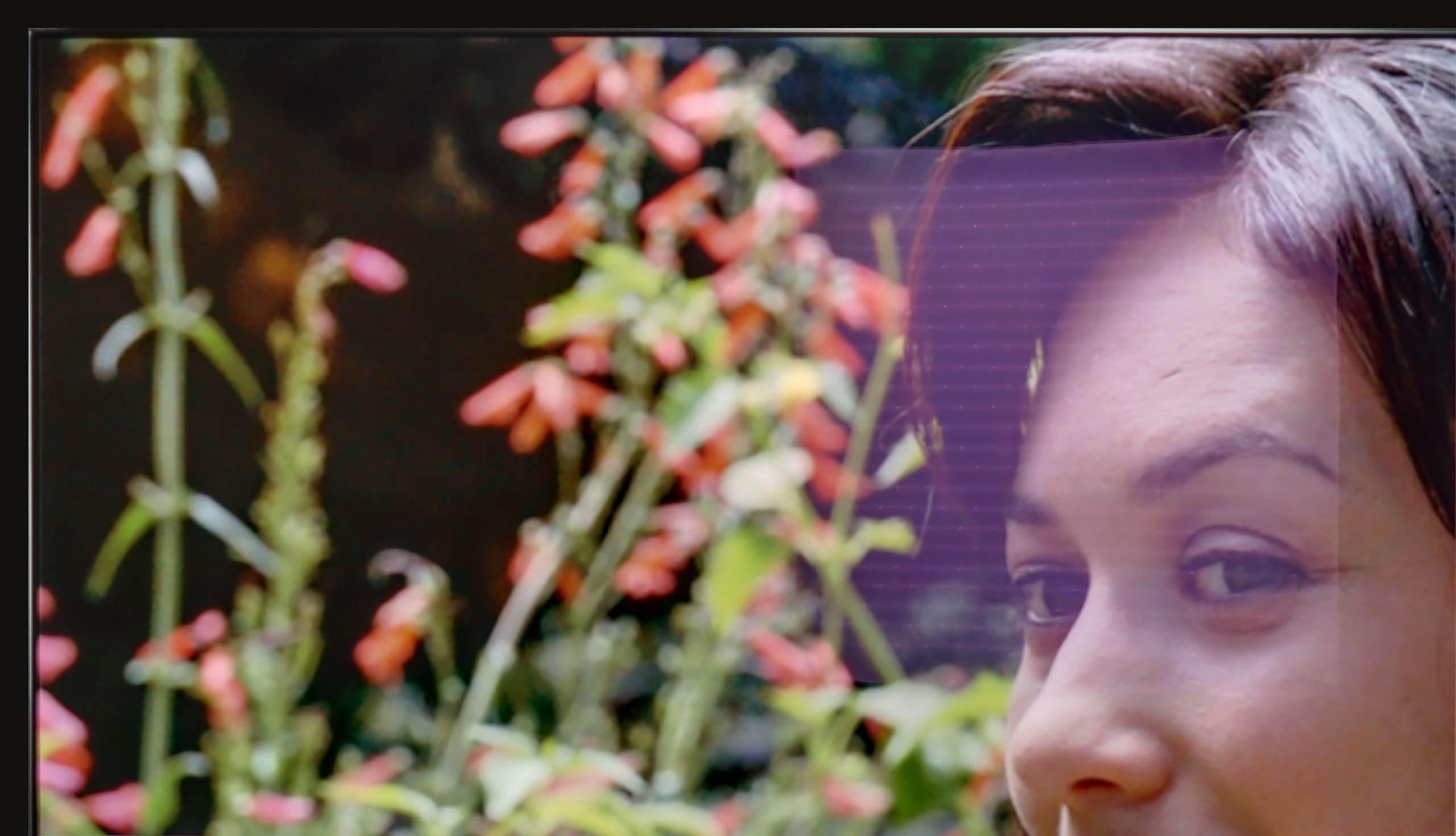 Test LG OLED G5 Sprawność telewizora w dzień