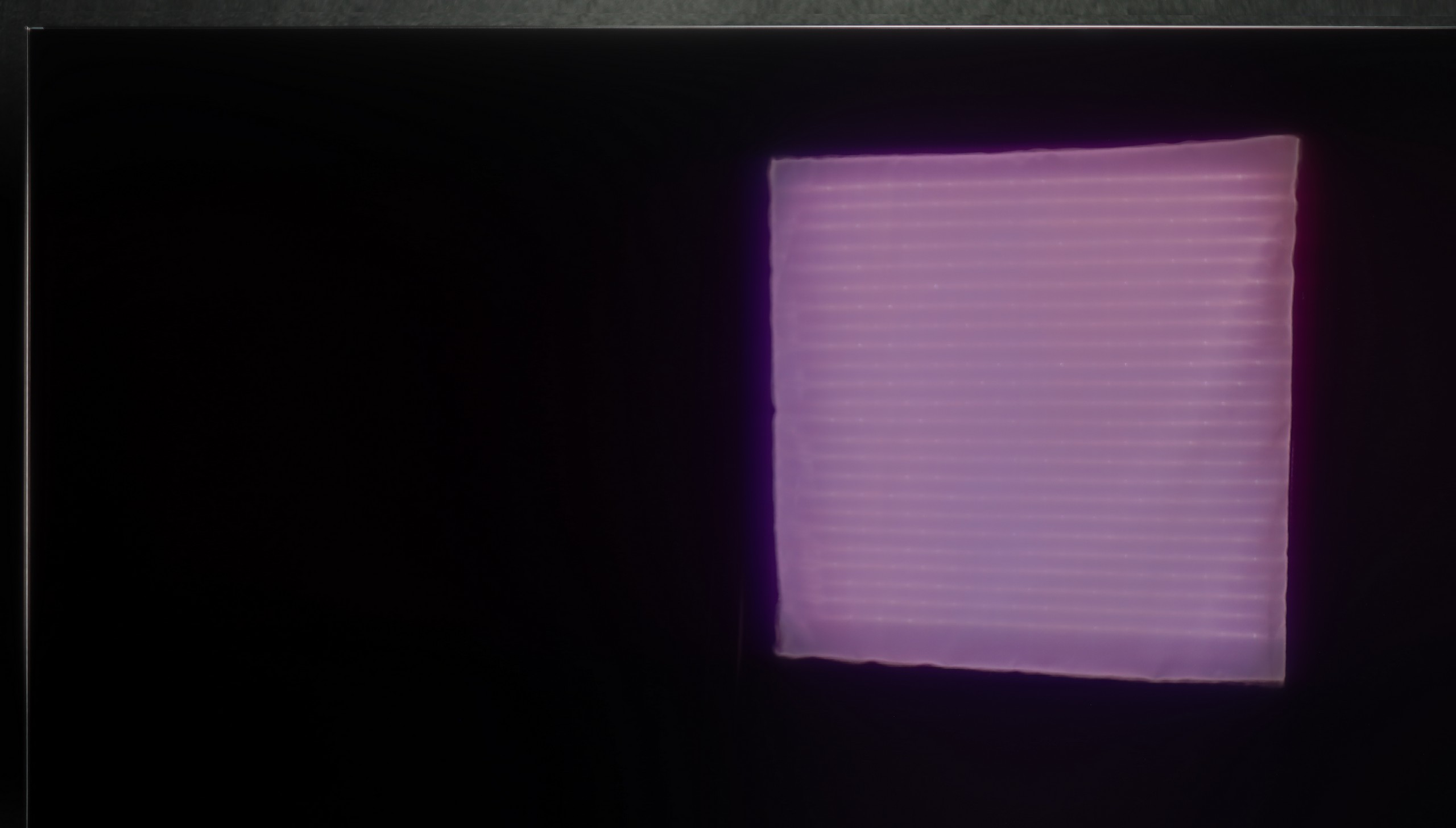 Test LG OLED C5 Sprawność telewizora w dzień
