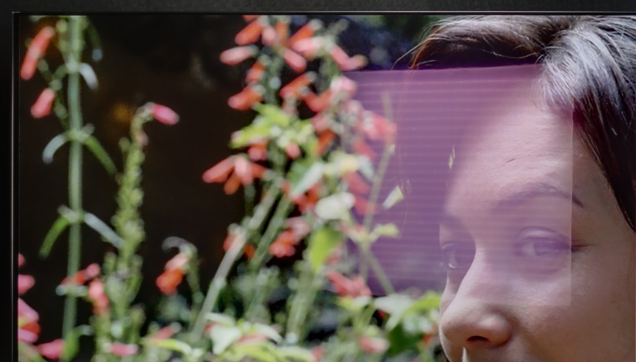 Test LG OLED C5 Sprawność telewizora w dzień