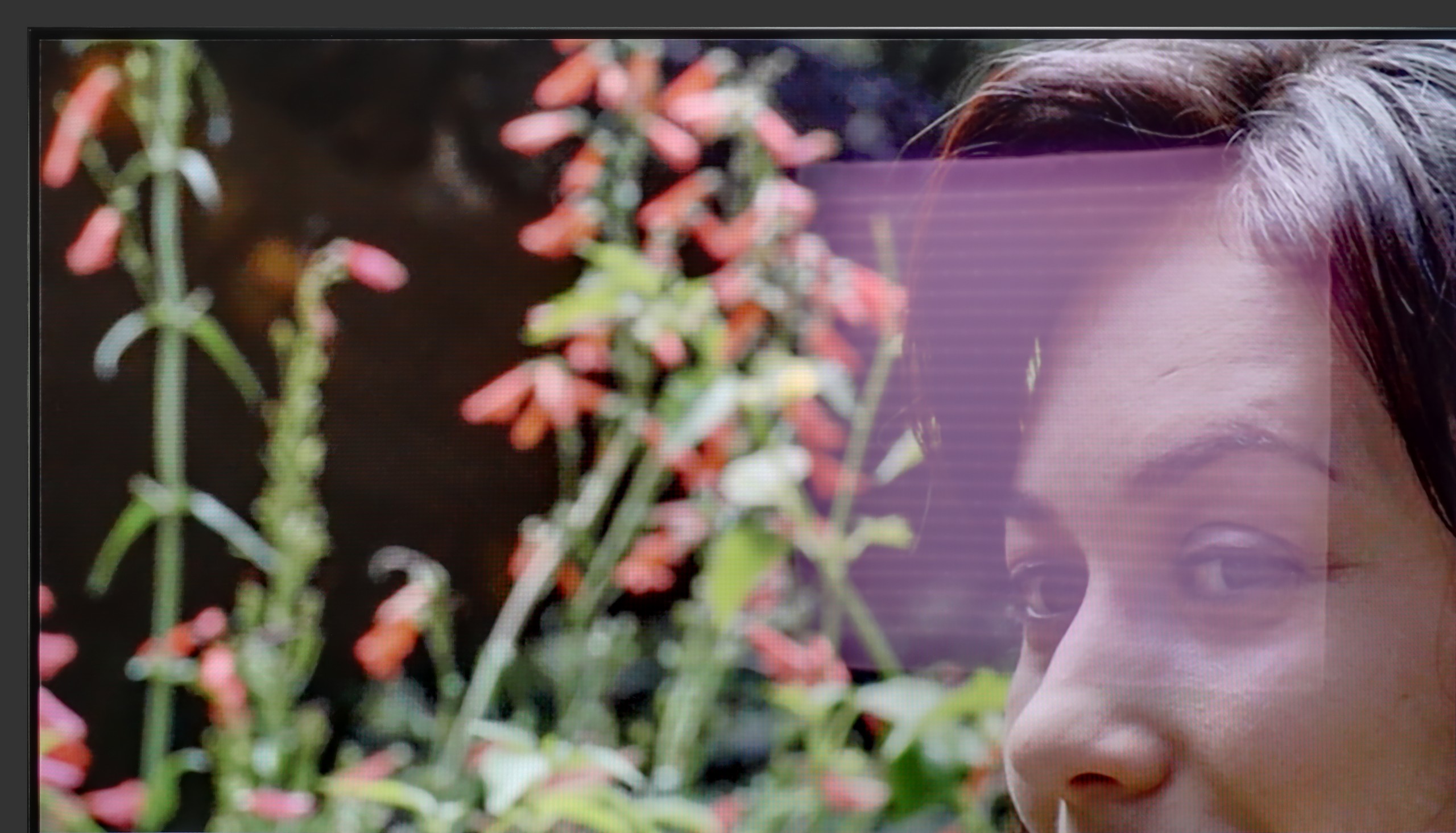 Test SAMSUNG S90F (WOLED) Sprawność telewizora w dzień