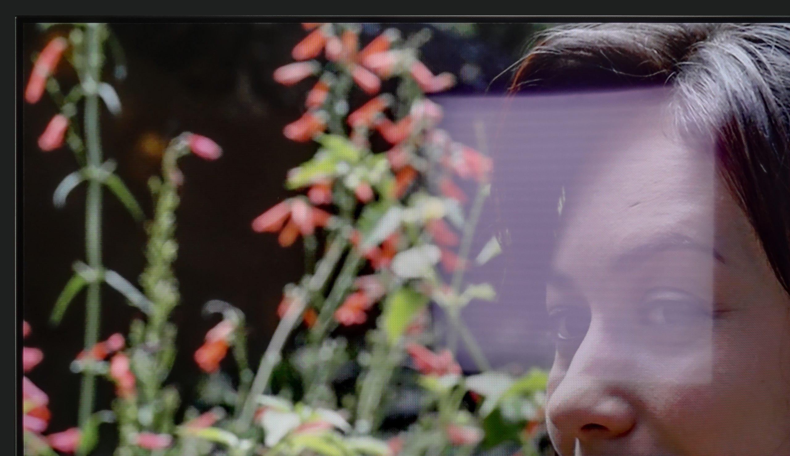 Review LG OLED B5 TV efficiency during daytime