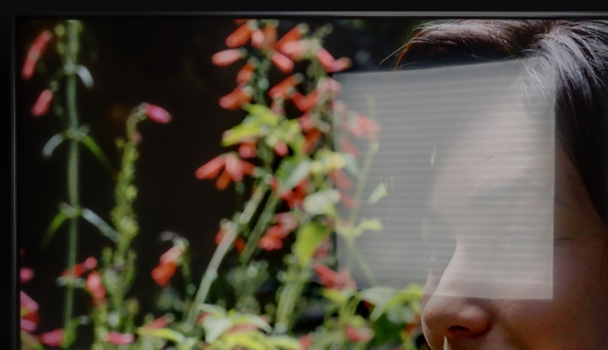 Test LG UA75006LA (IPS) Sprawność telewizora w dzień