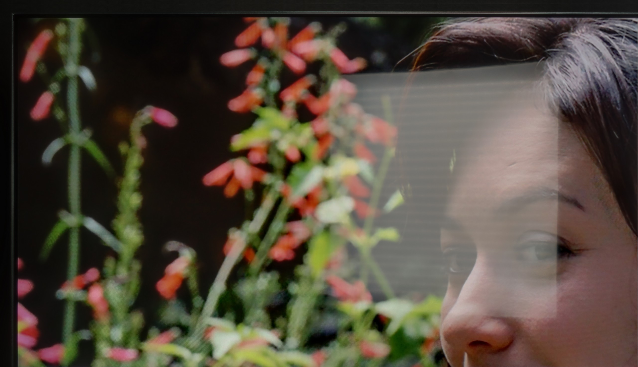 Test Hisense U7Q PRO Sprawność telewizora w dzień