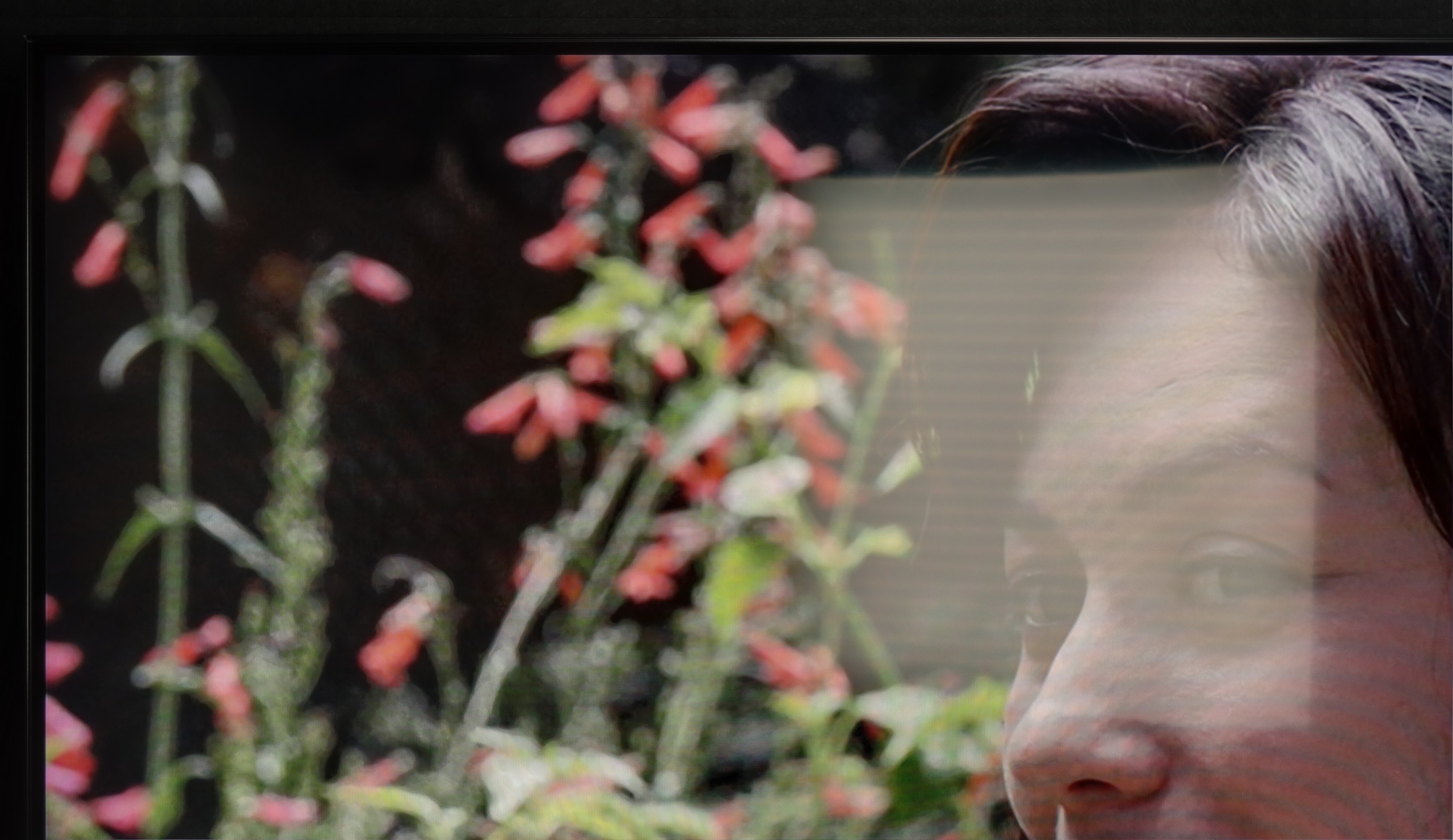 Test Samsung QN80F 100" Sprawność telewizora w dzień