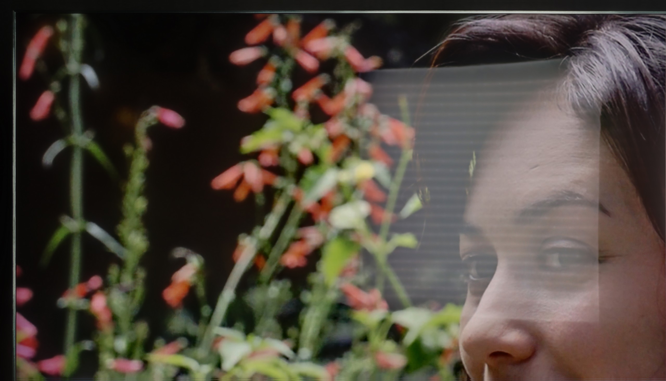 Test TCL C9K Sprawność telewizora w dzień