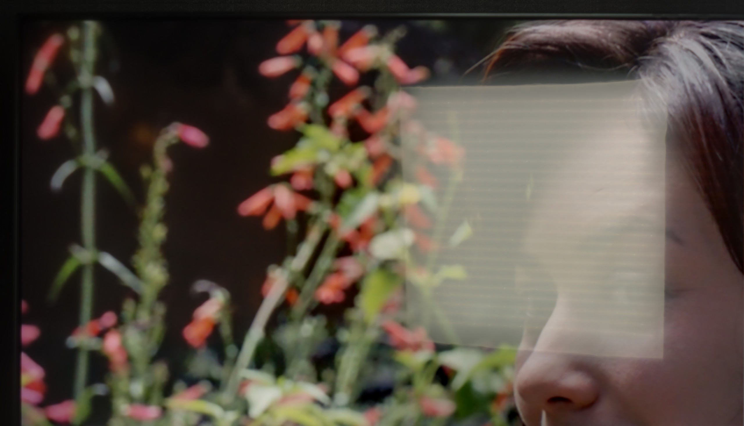 Test Samsung Q7F Sprawność telewizora w dzień