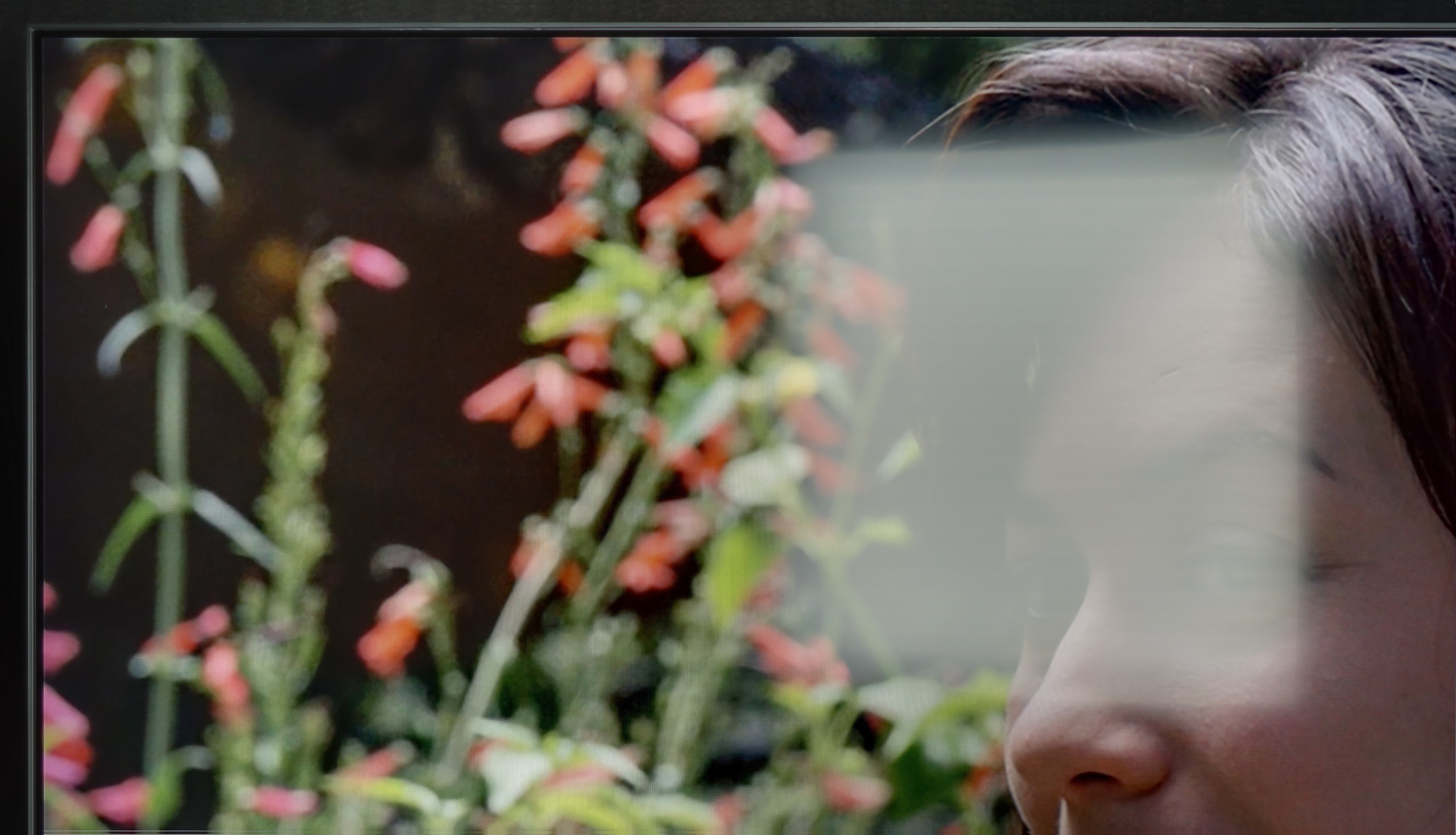 Test Samsung Q8F Sprawność telewizora w dzień