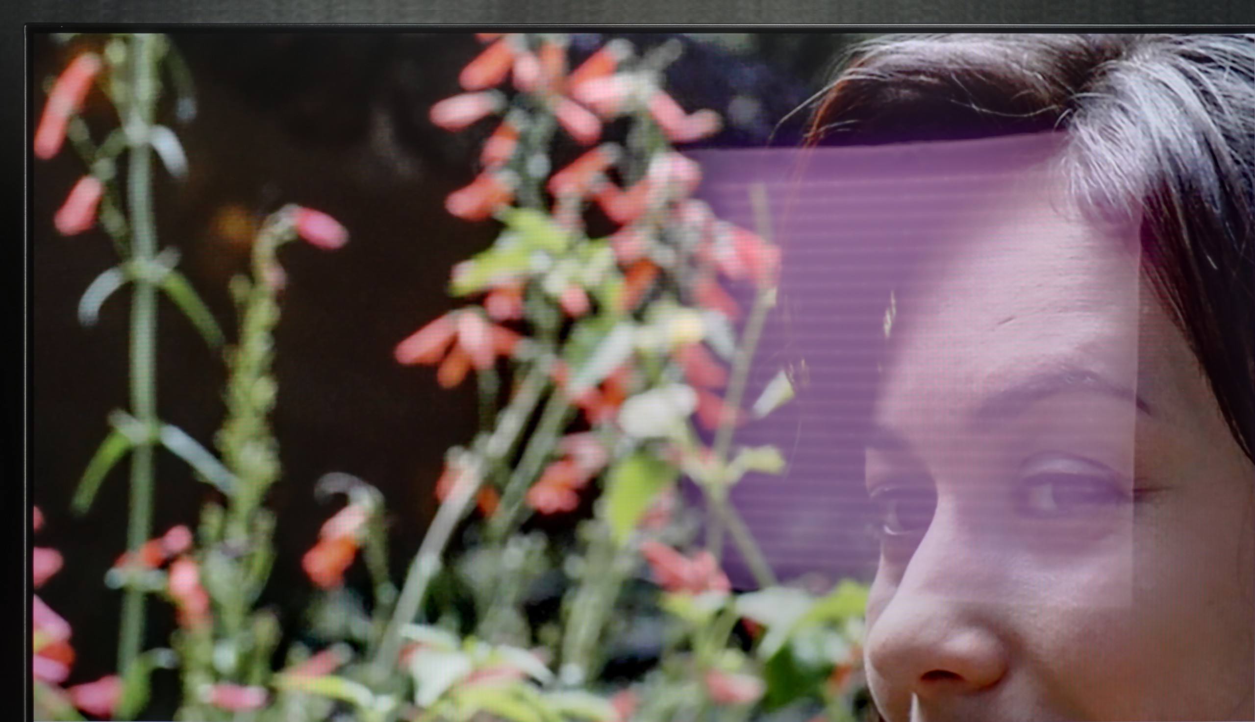 Review Philips OLED820 TV efficiency during daytime