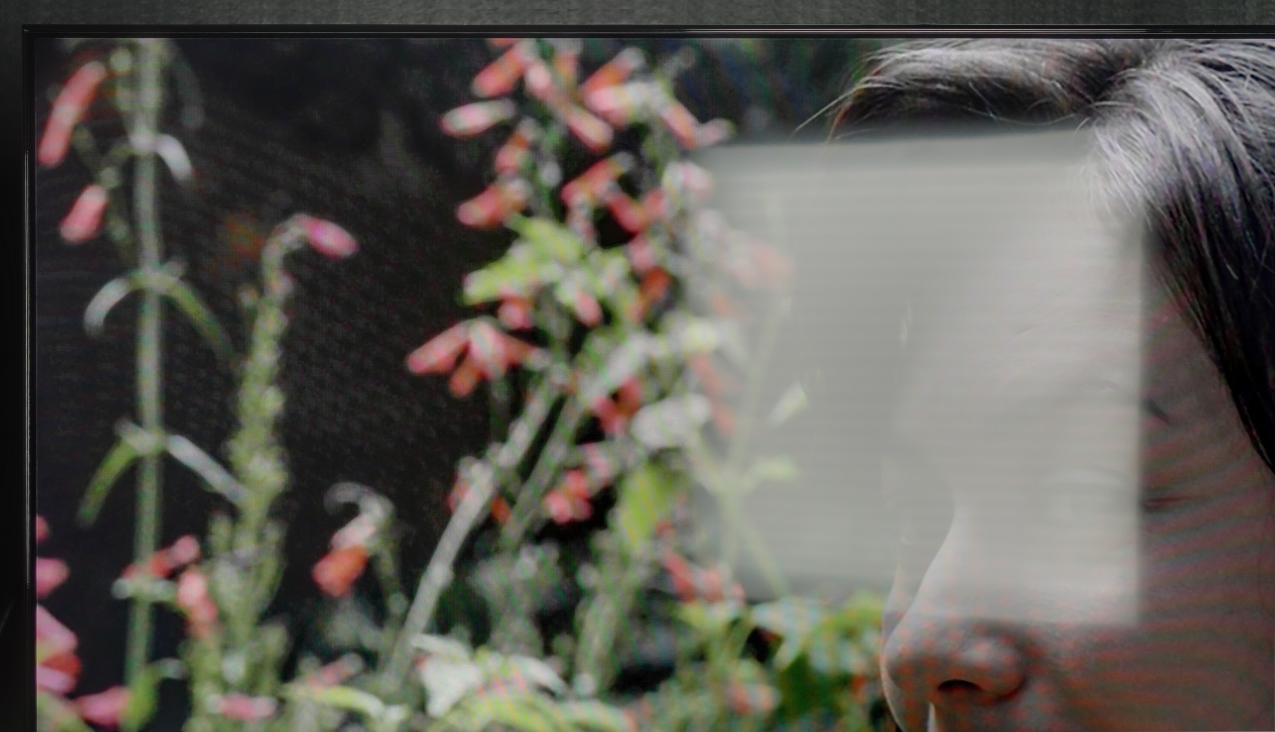 Test Sony Bravia 3 Sprawność telewizora w dzień