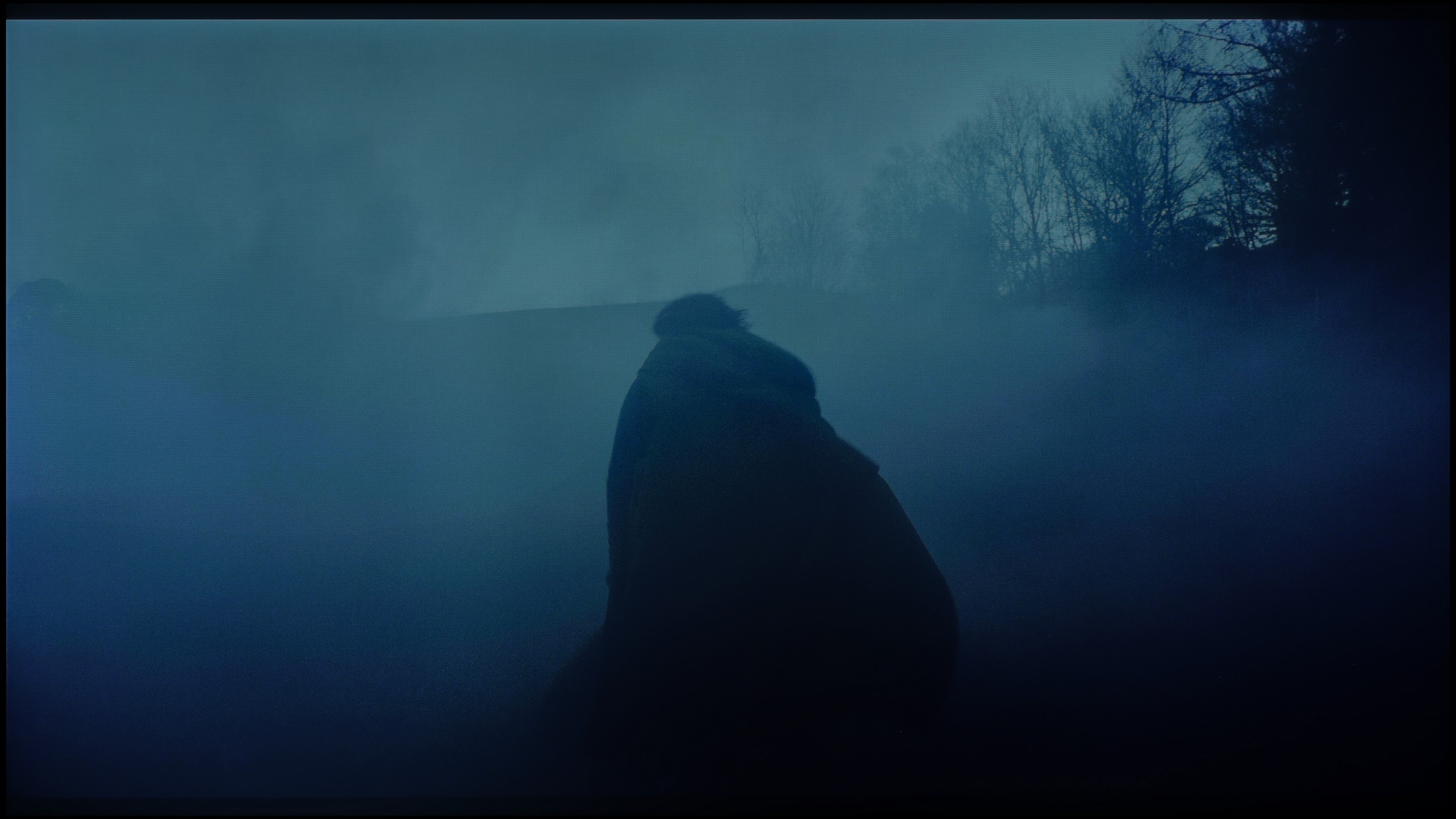 Review Panasonic W95B Smoothness of tonal transitions