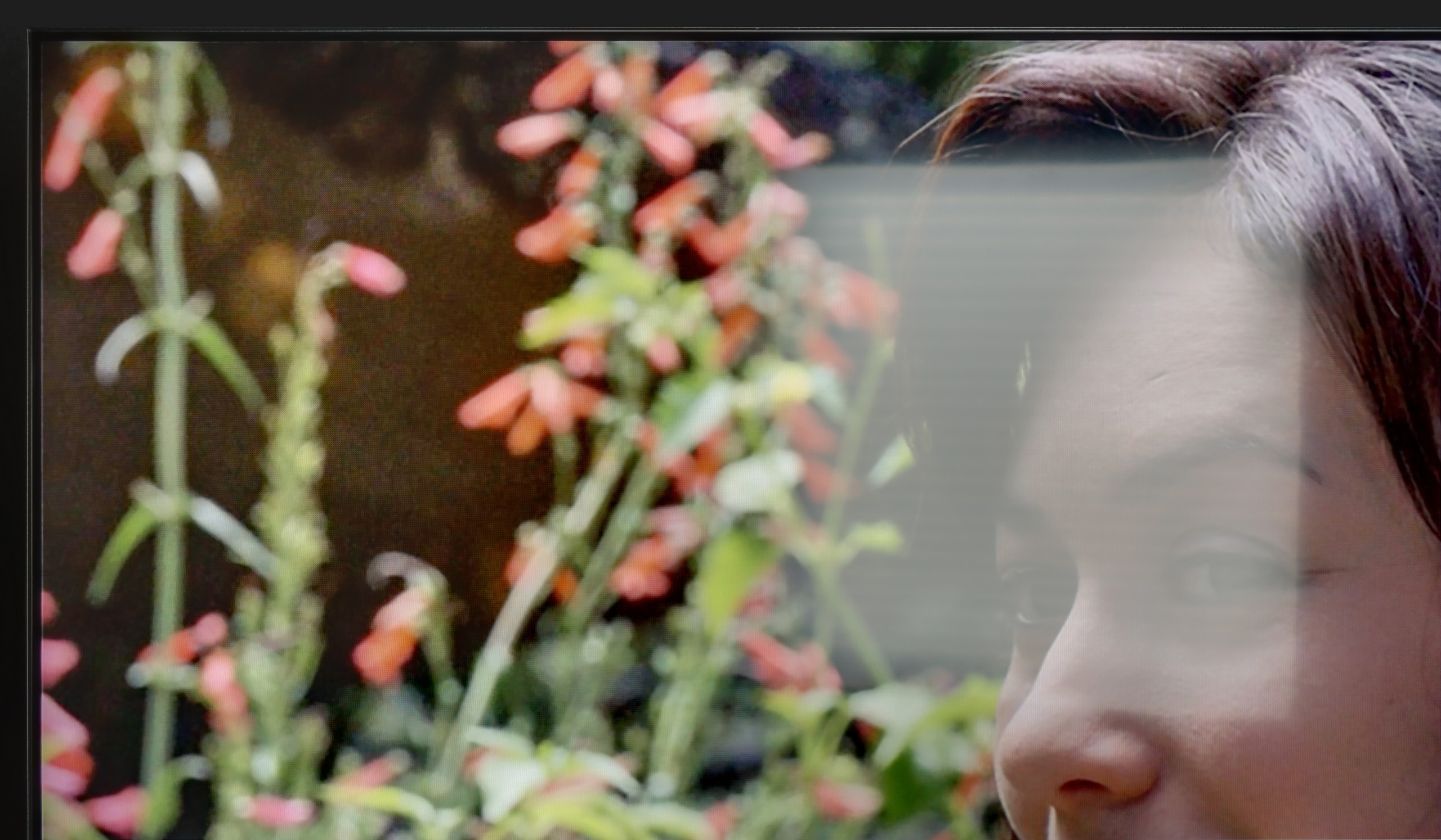 Review Panasonic W95B Daytime performance