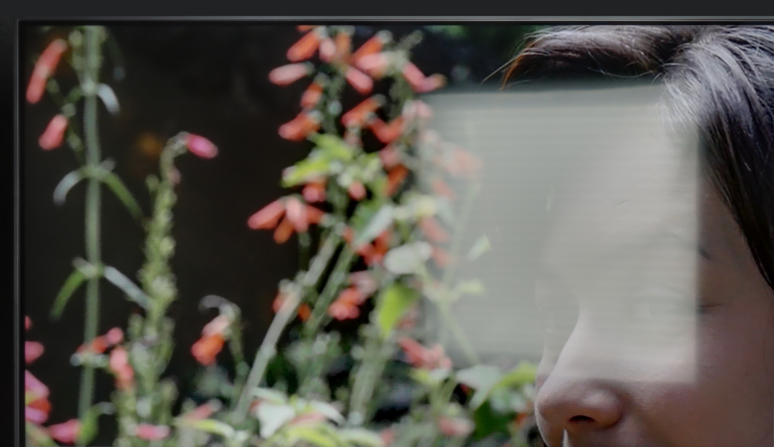 Review LG UA75006LA (VA) TV efficiency during daytime