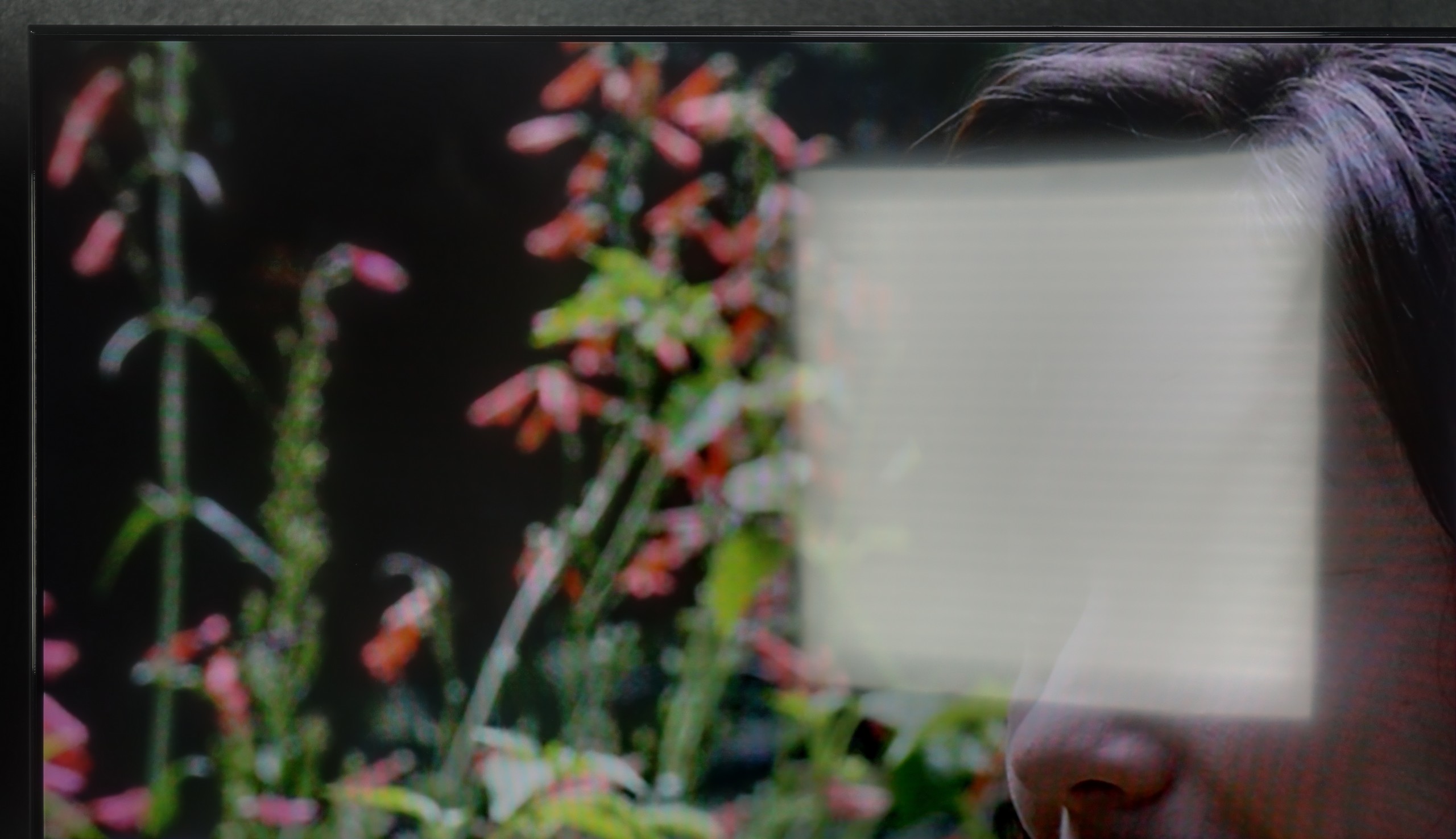 Review Sony Bravia 3 50' (VA) TV efficiency during daytime