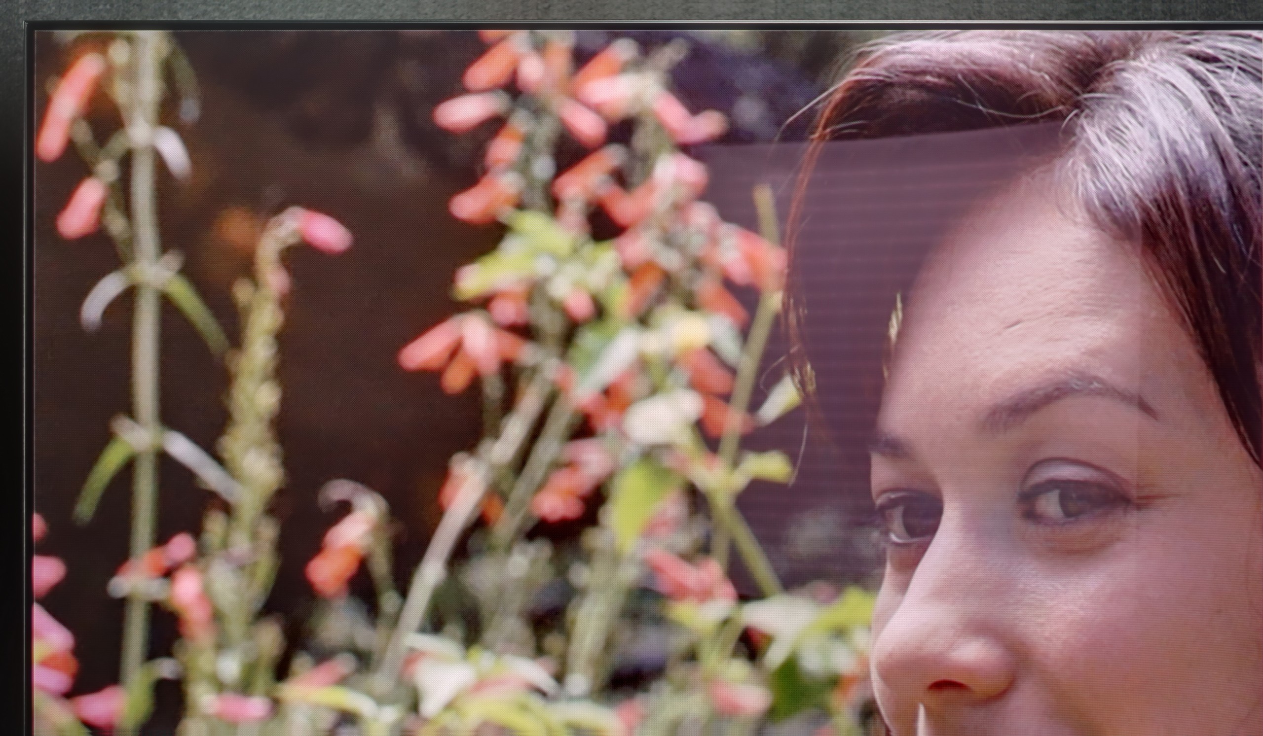 Test Samsung OLED S90F (QD-OLED) Sprawność telewizora w dzień