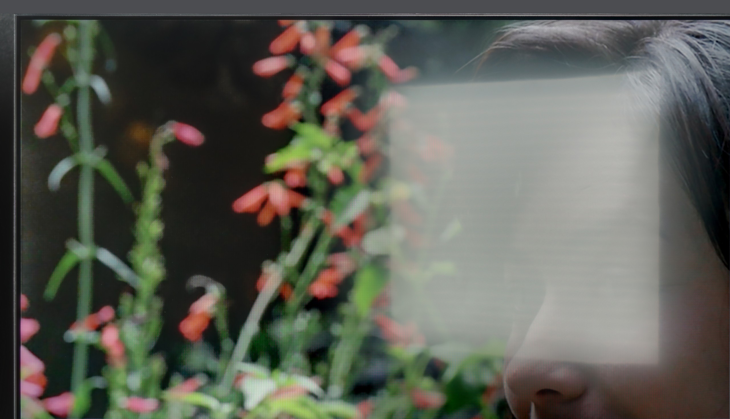 Test Haier K85F Sprawność telewizora w dzień