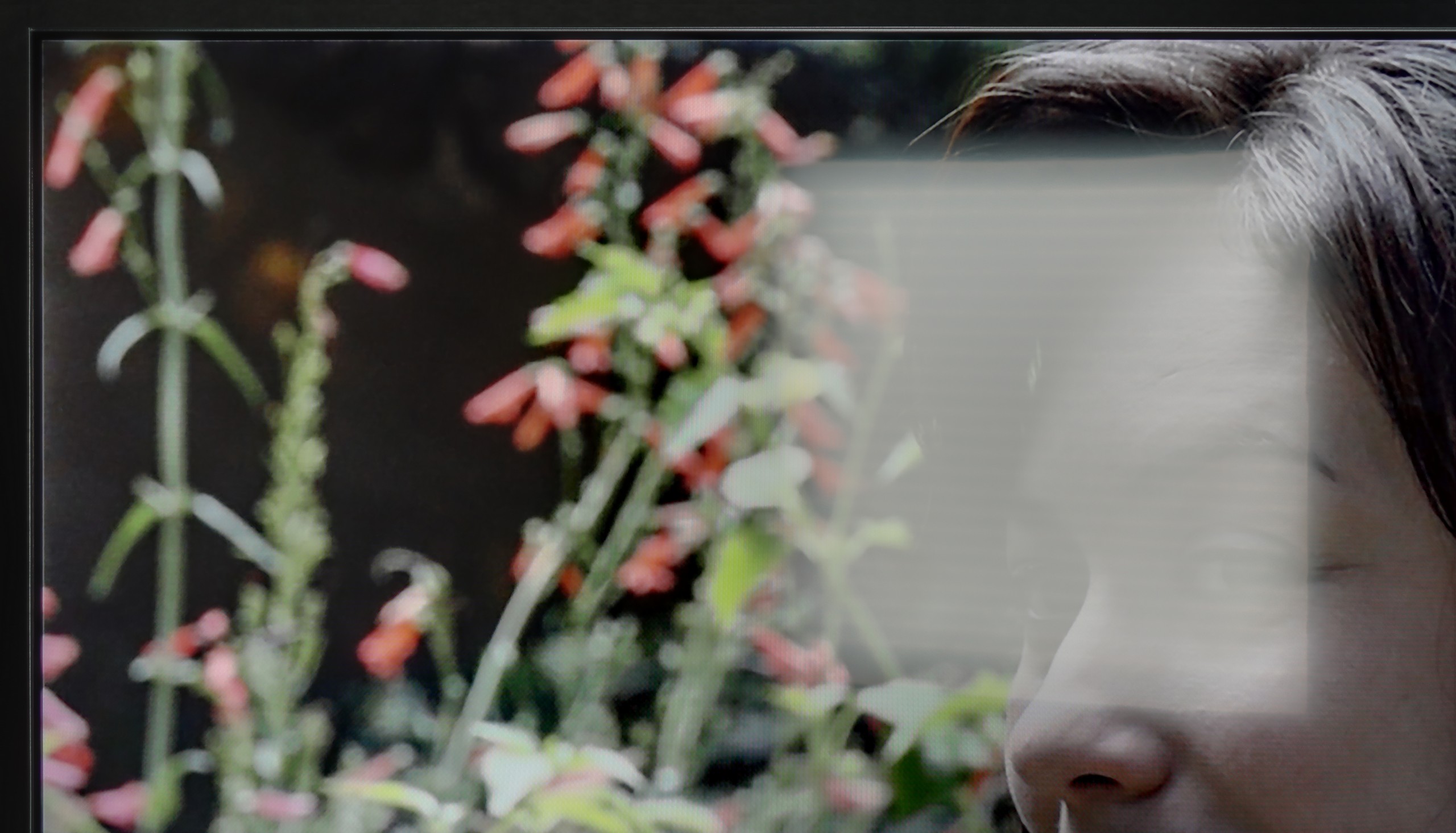 Review Philips PUS7000 Daytime performance