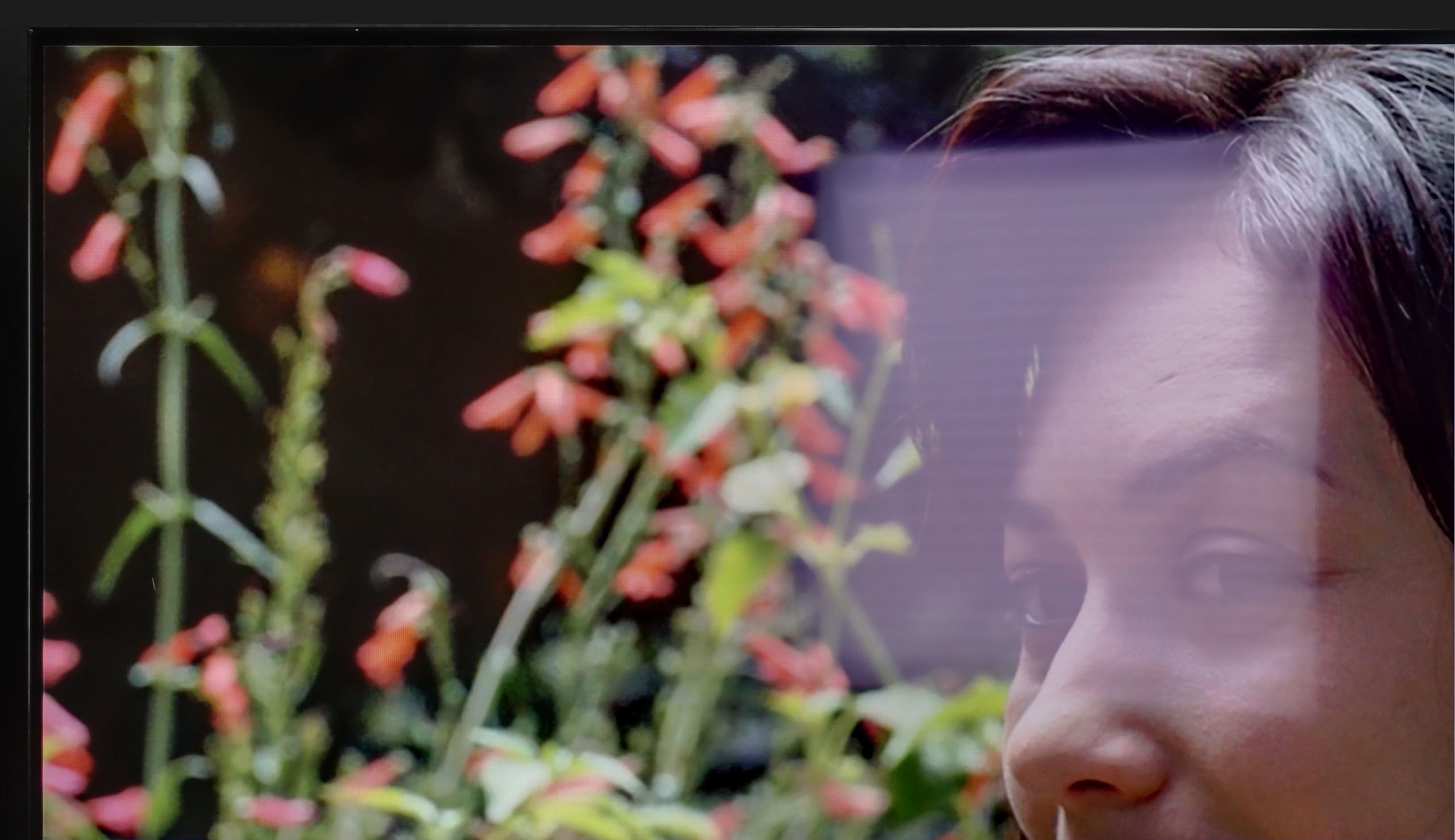 Test Samsung OLED S85F (WOLED) Sprawność telewizora w dzień