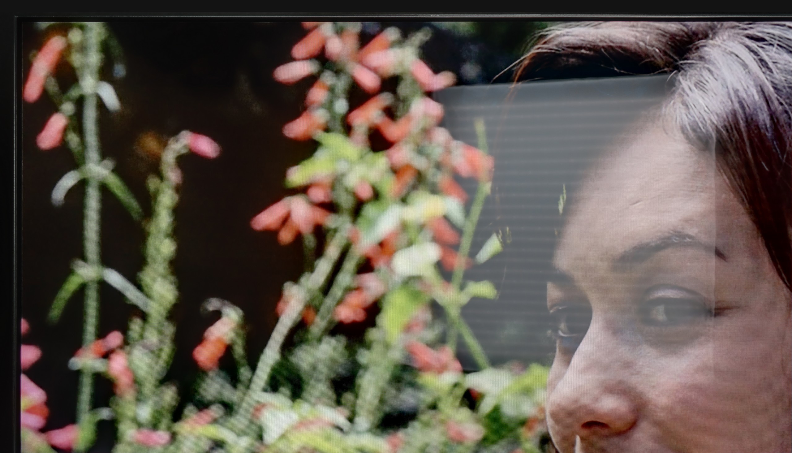 Review Xiaomi S Pro 2026 Daytime performance