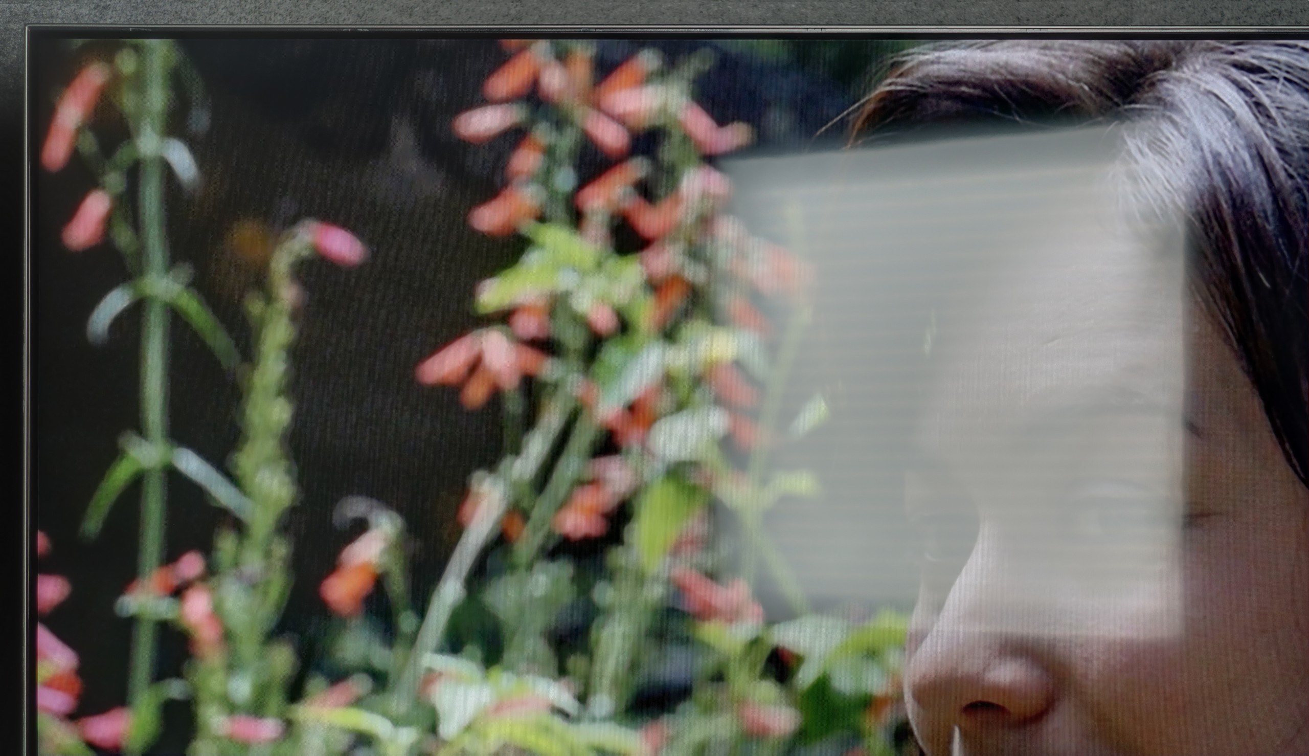 Review PHILIPS PUS9010 (IPS) Daytime performance