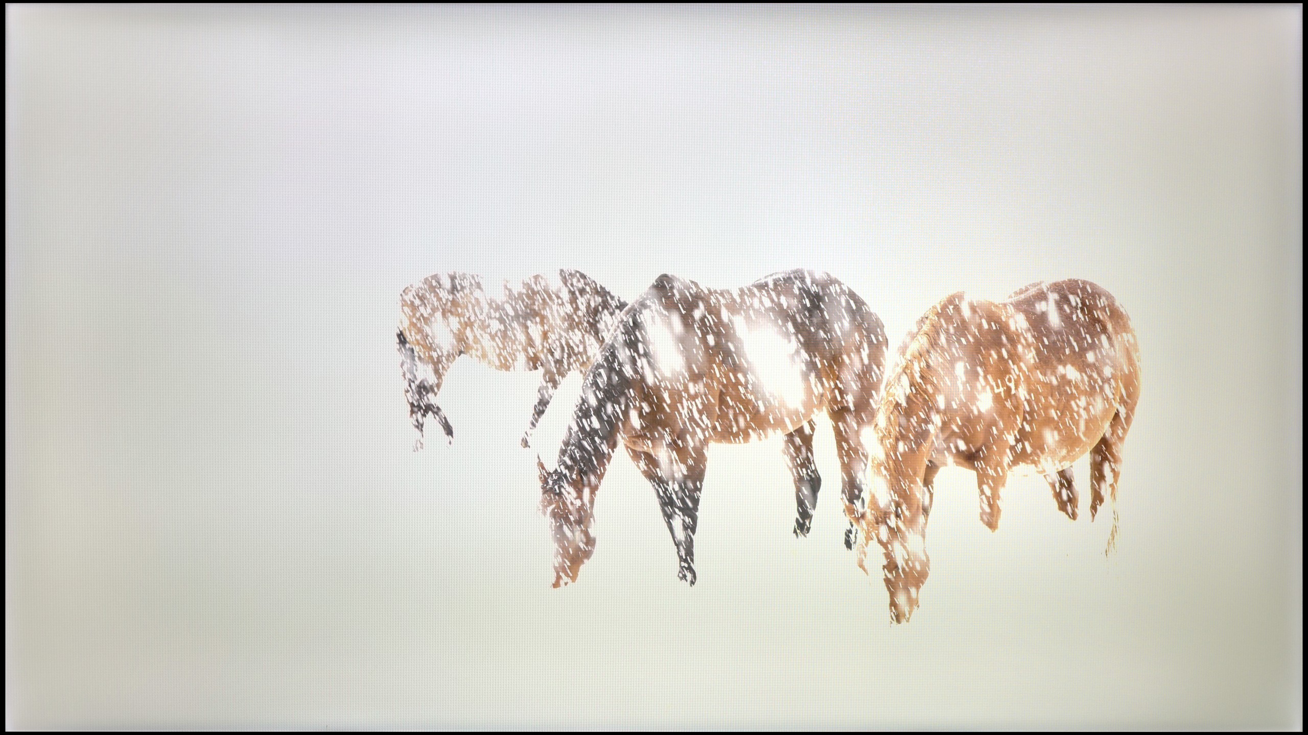 Compare Samsung QN85F vs Samsung Q6F (IPS)