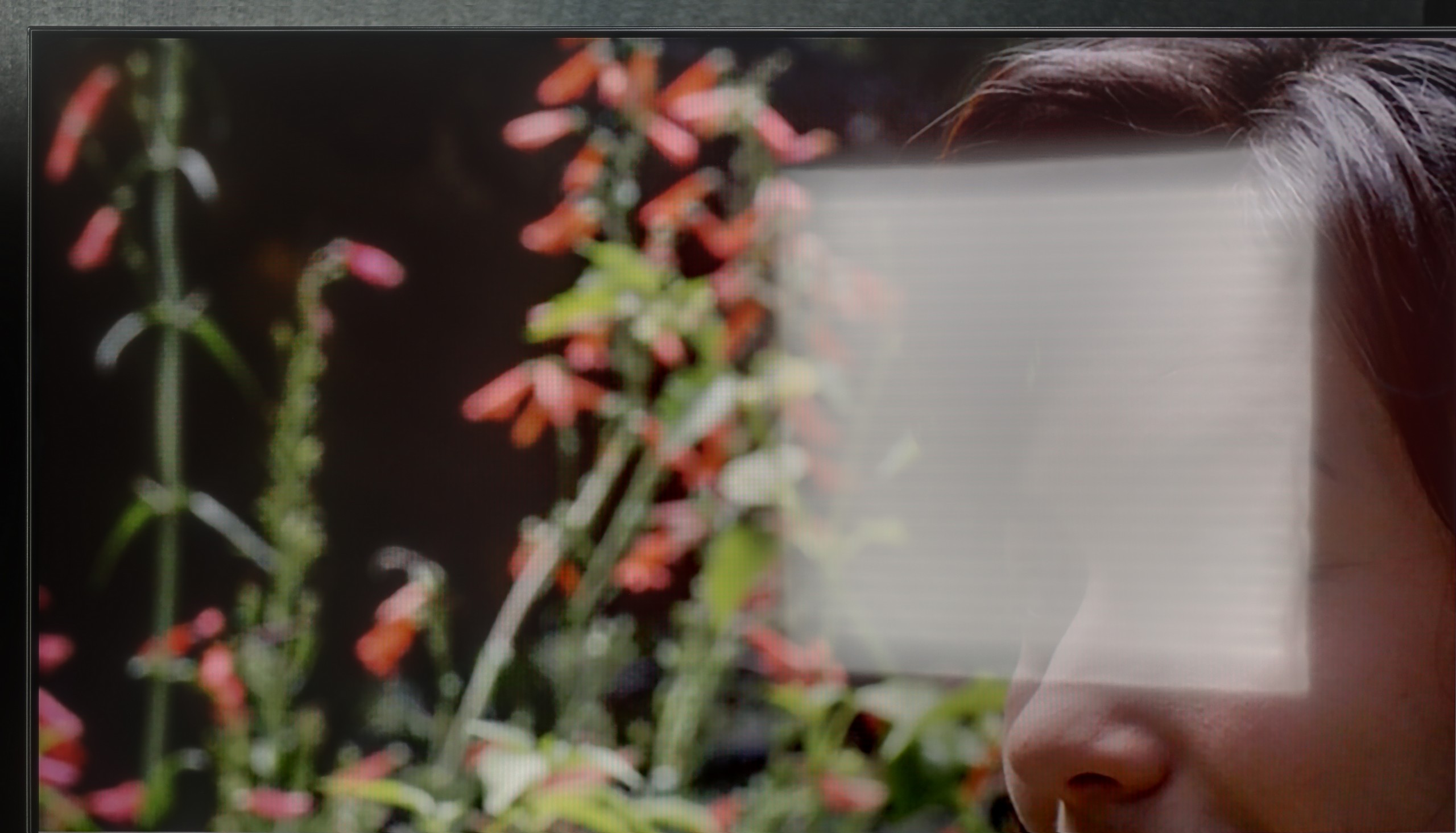 Review Samsung Q6F (IPS) Daytime performance