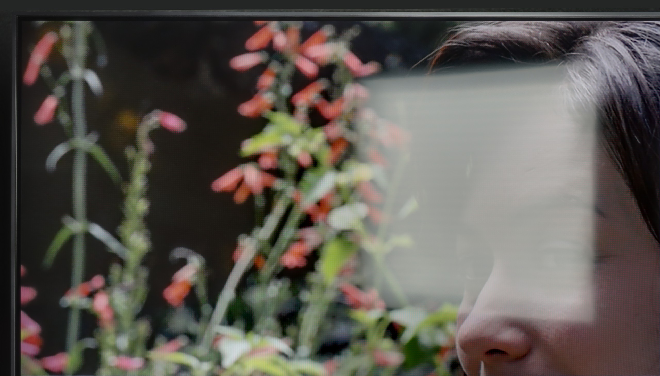 Review LG QNED80A6A (VA) Daytime performance