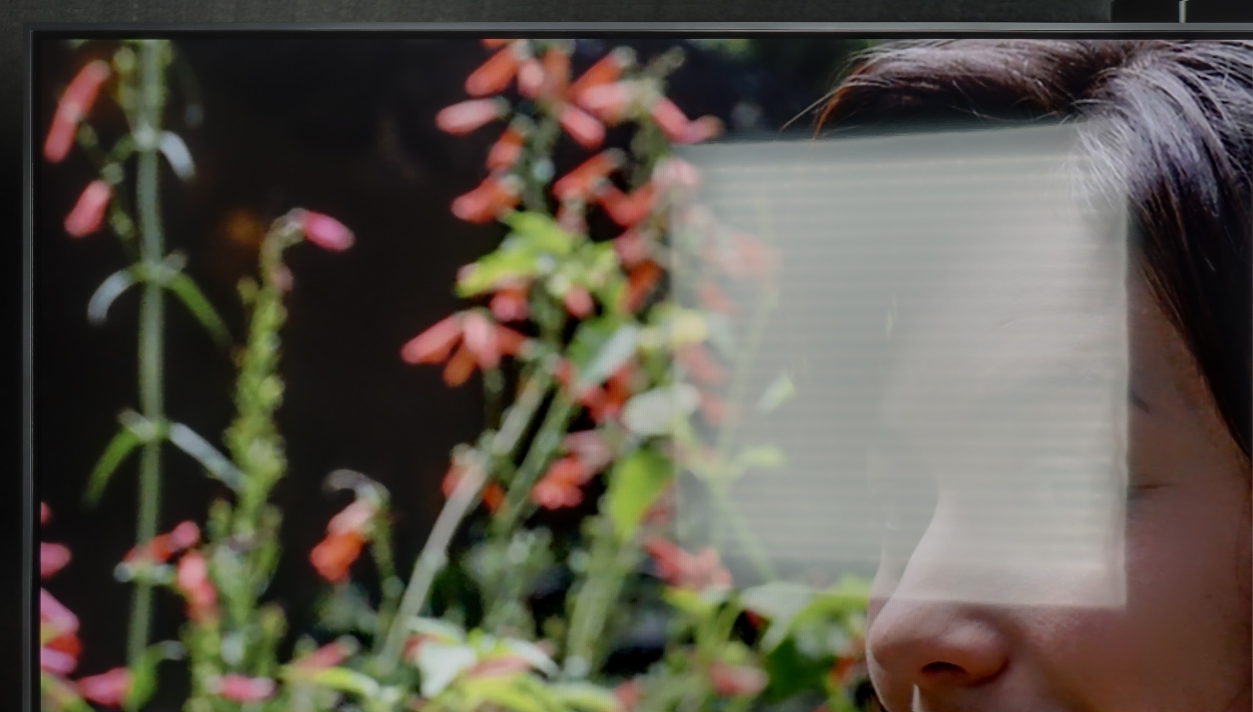 Review LG QNED80A6A (IPS) Daytime performance