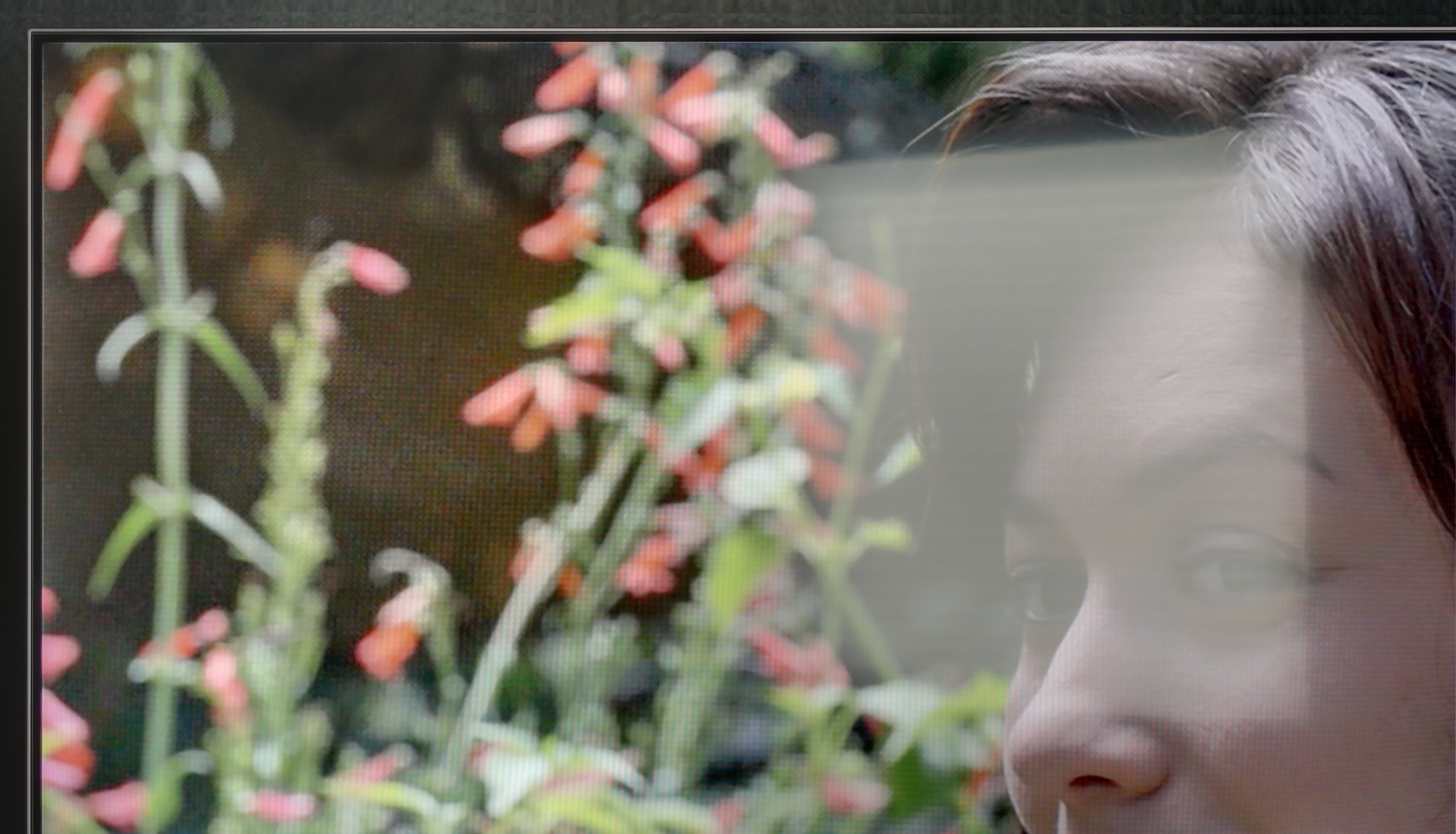 Review Haier M90E Daytime performance