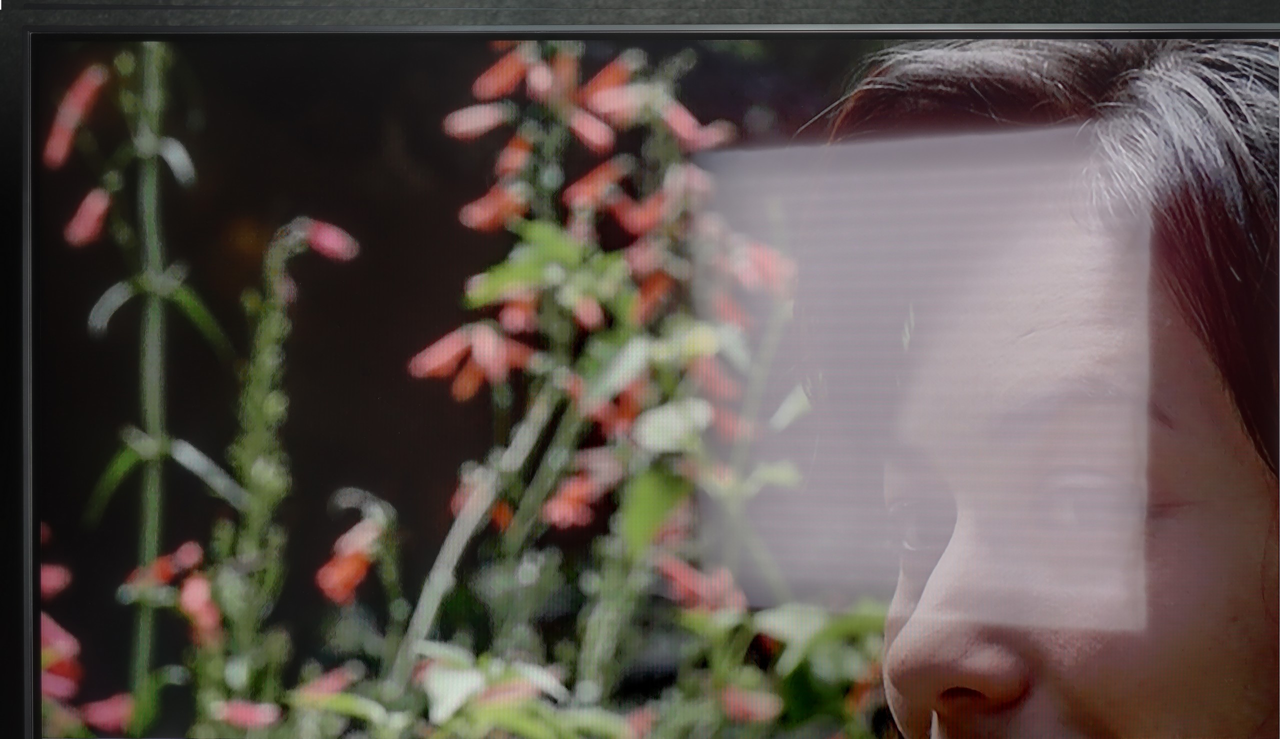 Review LG NANO81A / NANO80A  Daytime performance