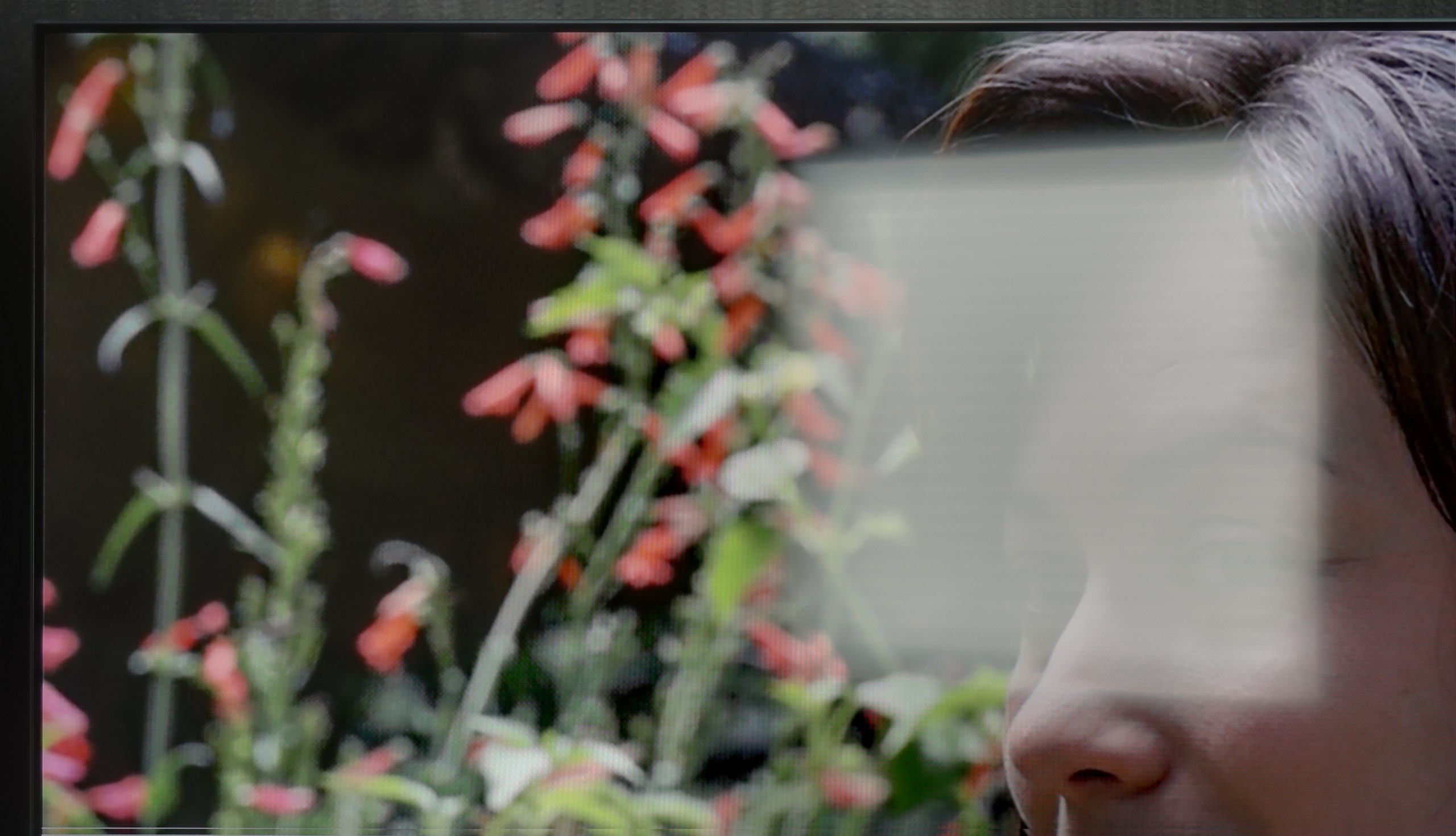 Review Hisense E7Q PRO / E79Q PRO Daytime performance