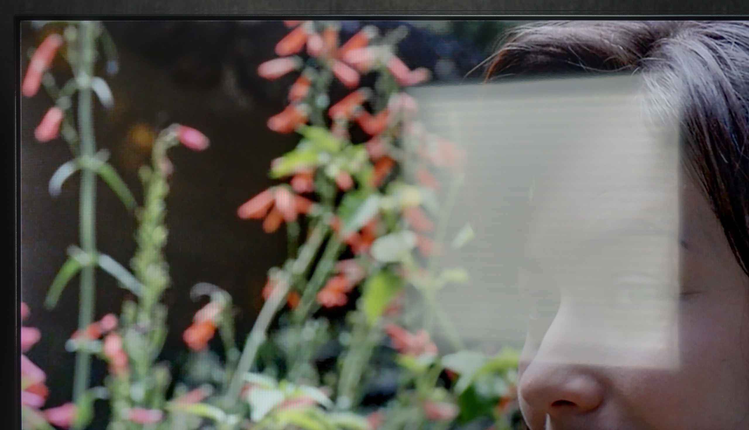 Review Hisense A6Q Daytime performance