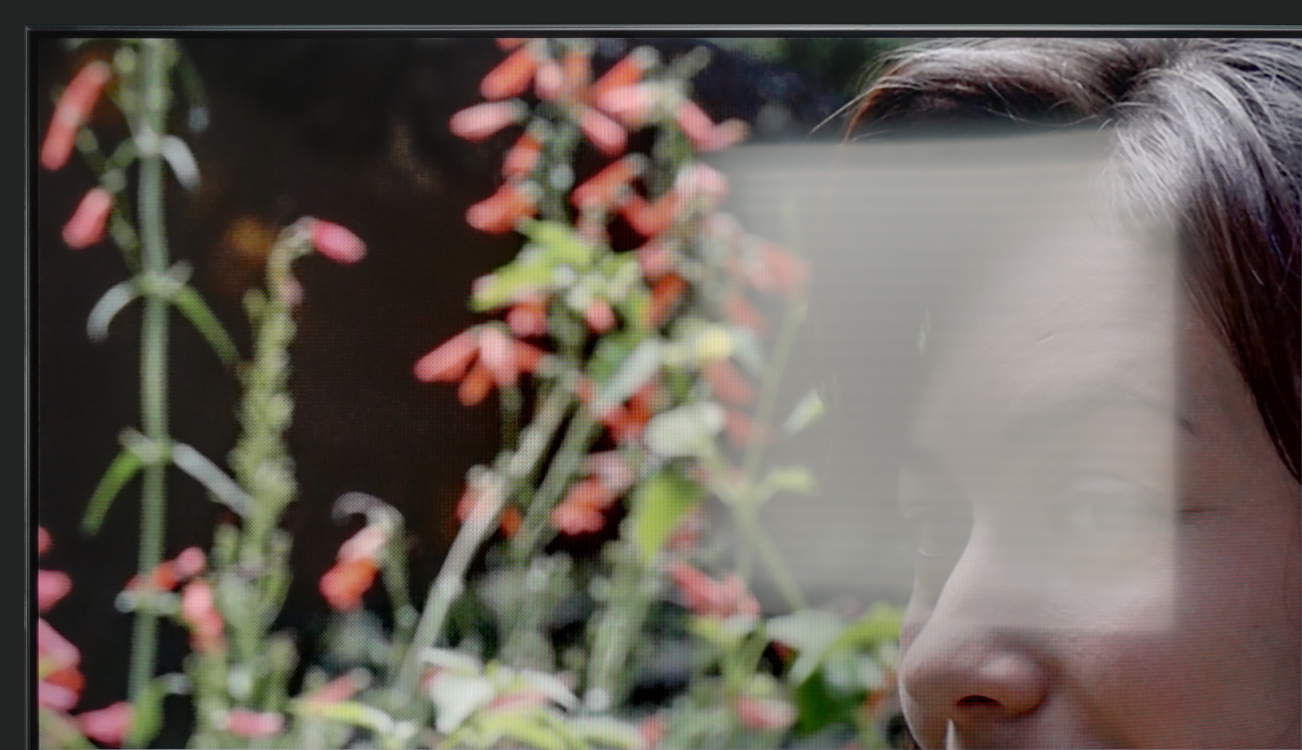 Review TCL C6KS / C69KS / Q6CS Daytime performance