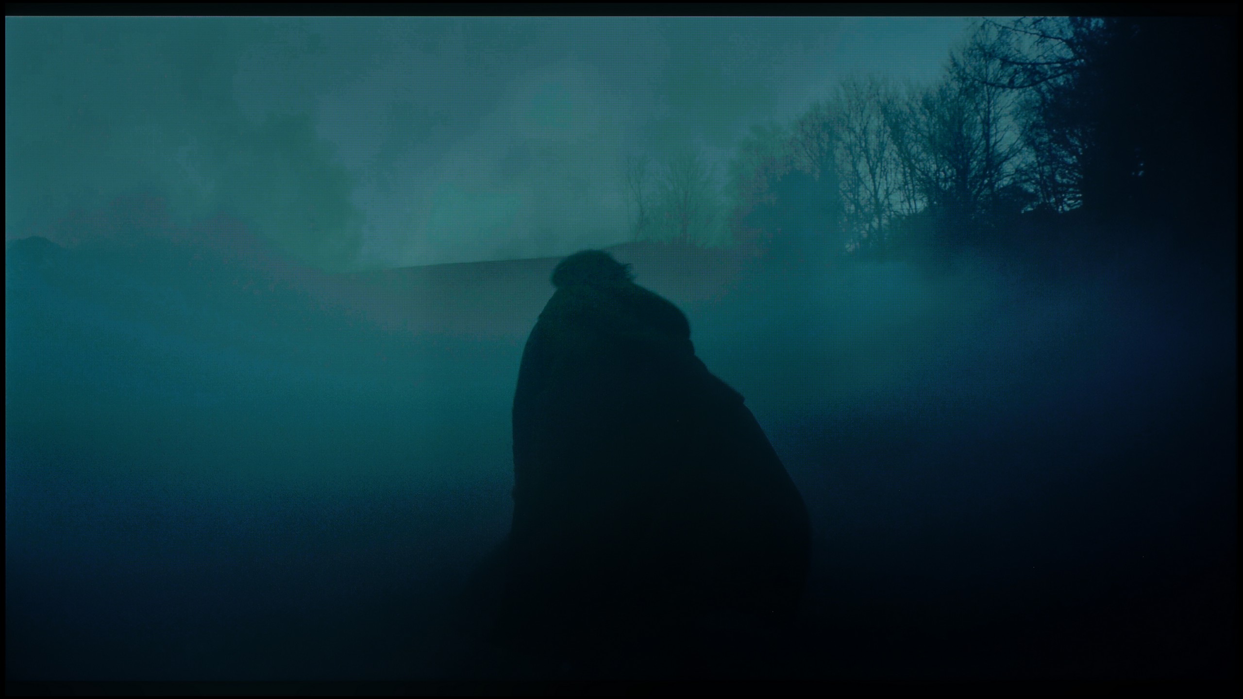 Review Philips OLED950 Smoothness of tonal transitions