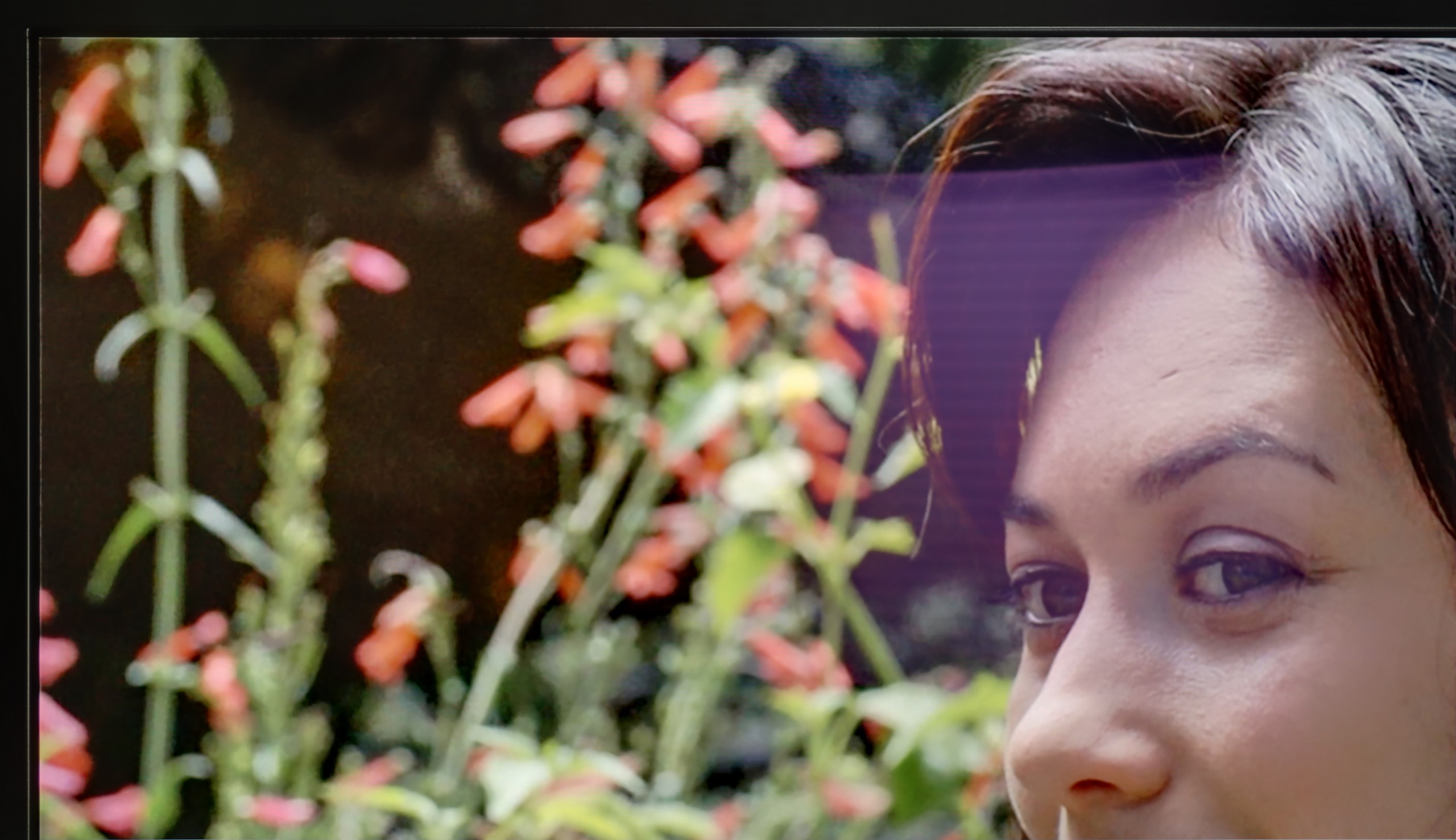 Review Philips OLED950 Daytime performance