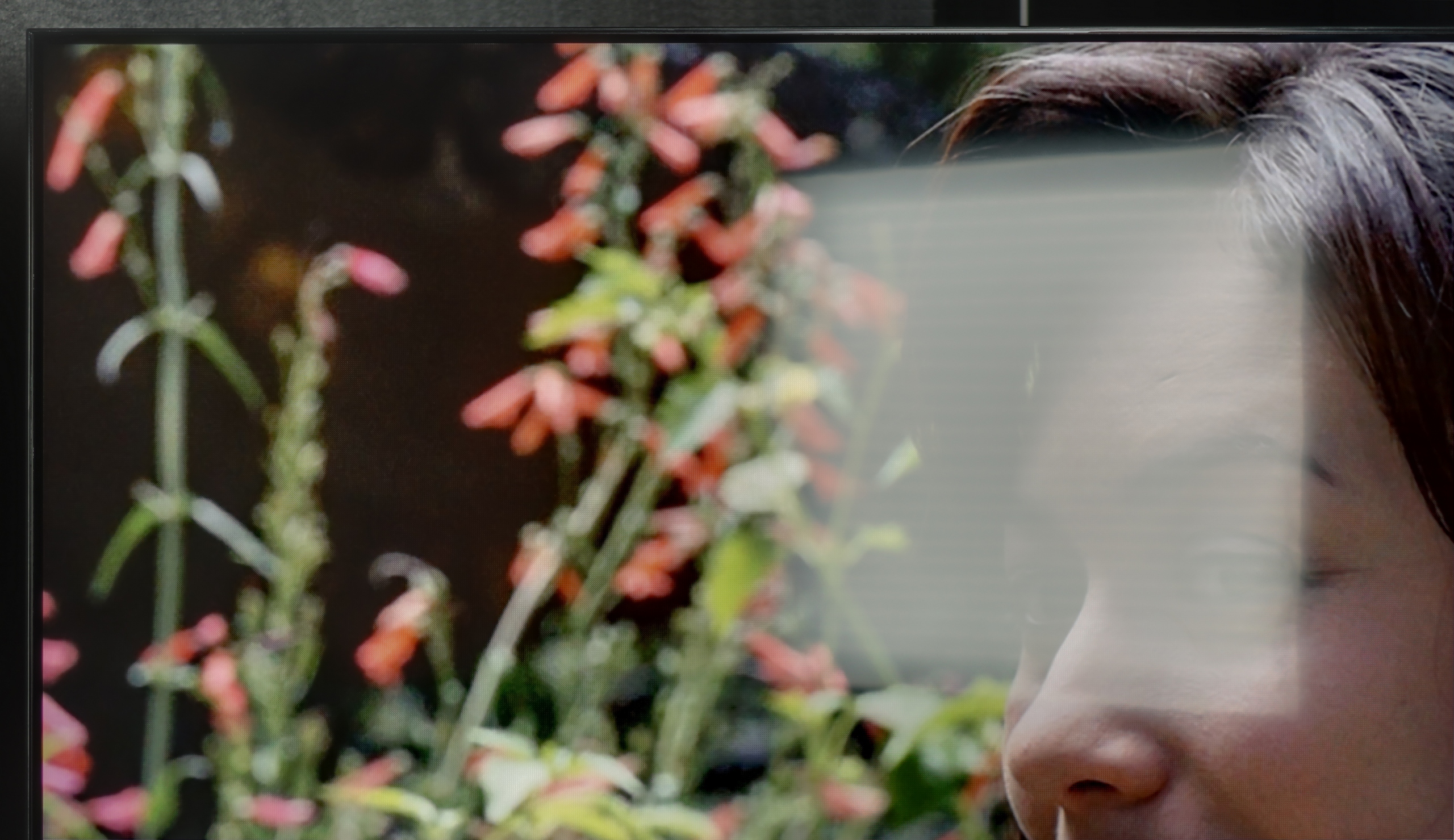 Review IFFALCON U85X Daytime performance