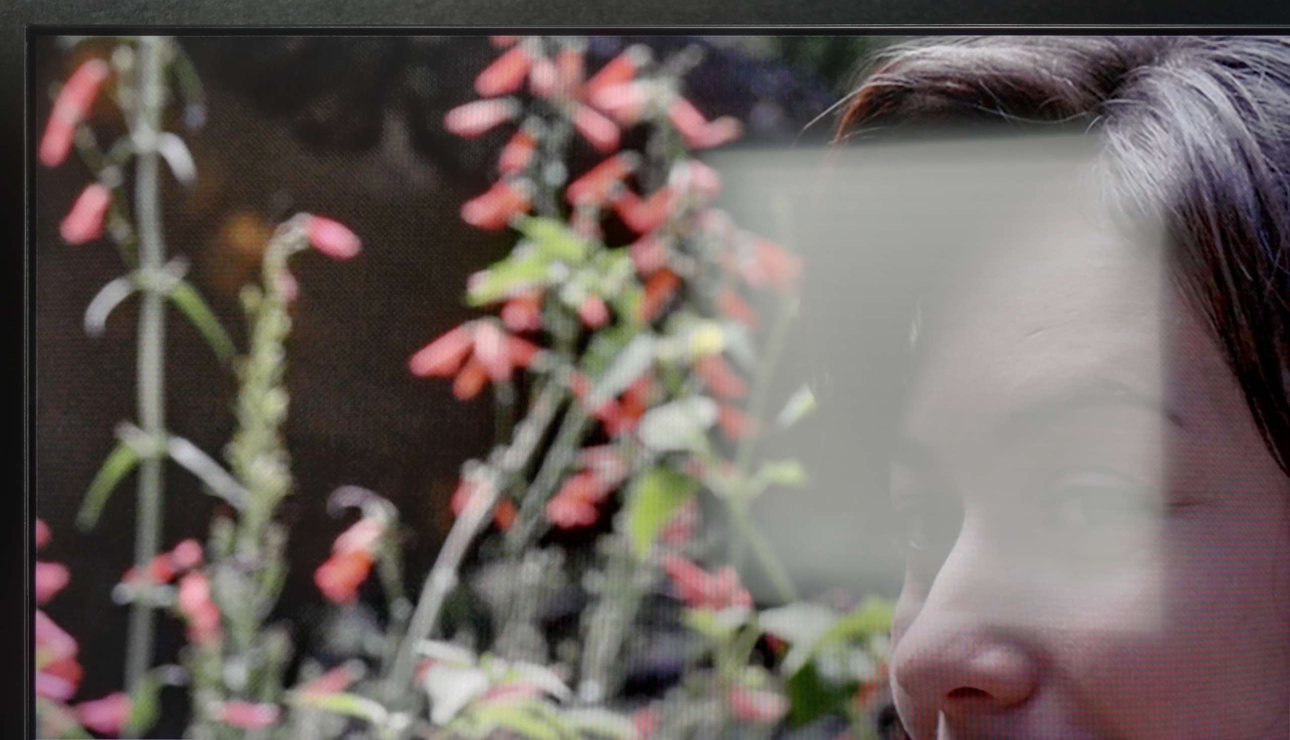 Review SHARP JP7765E Daytime performance